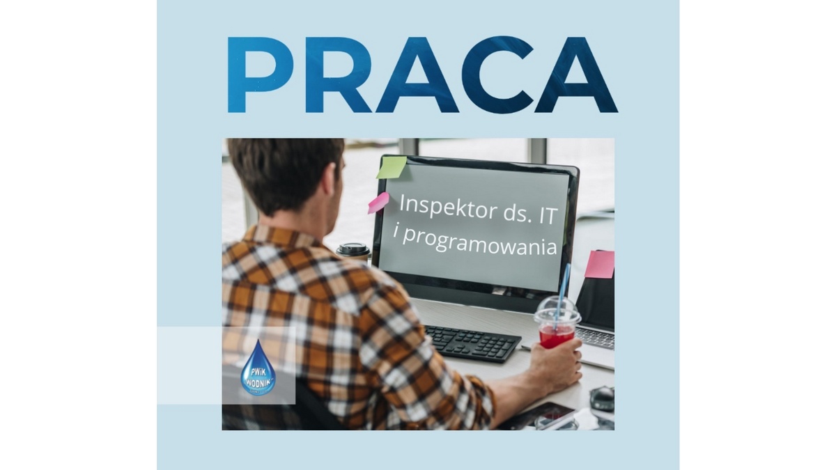 Inspektor ds. IT i Programowania