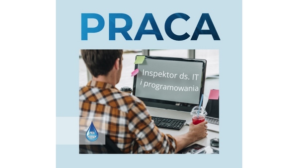 Inspektor ds. IT i Programowania